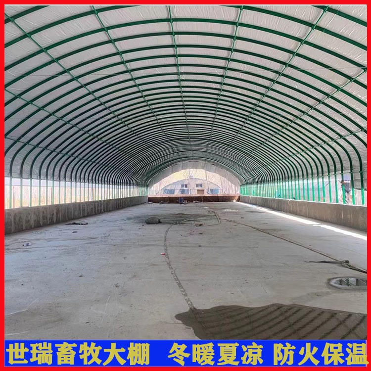 养牛场牛棚建设规划 肉牛养殖大棚搭建 钢架牛舍大棚安装 世瑞图2