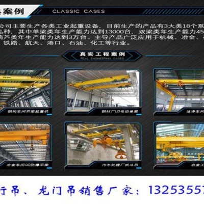 湖北仙桃双梁起重机厂家LH型QE型QD型行吊销售