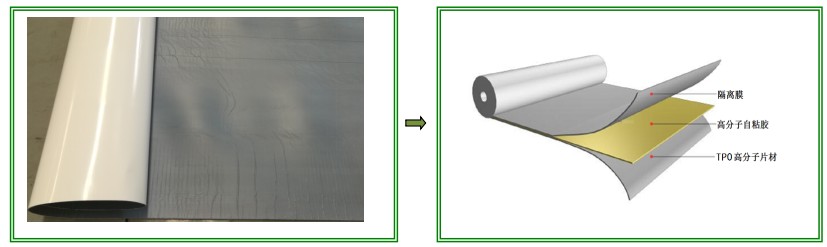 3-4米宽TPO自粘胶膜防水卷材
