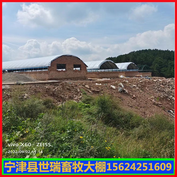 搭建养鸭棚价格 肉鸭养殖大棚建设 鸭舍大棚施工安装