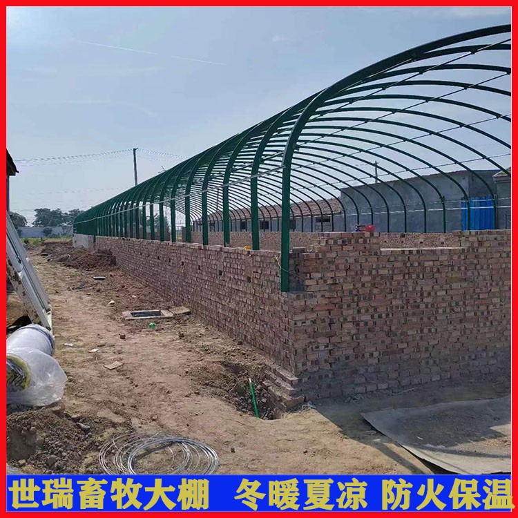 养牛场牛棚施工 肉牛养殖大棚建设 牛舍大棚安装厂家