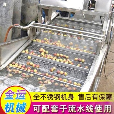 叶类蔬菜清洗设备 水果蔬菜气泡清洗机 食品包装袋清洗机